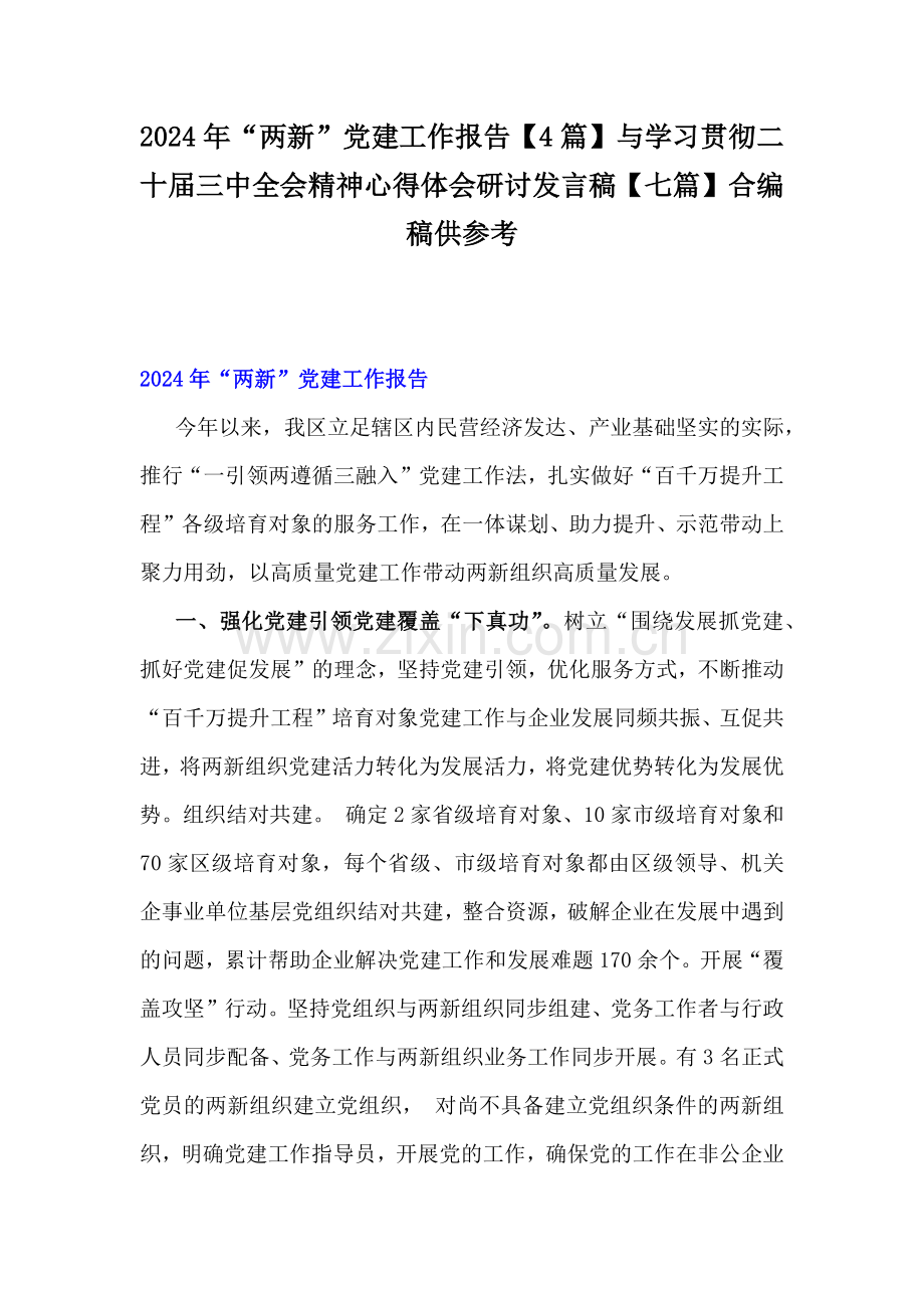 2024年“两新”党建工作报告【4篇】与学习贯彻二十届三中全会精神心得体会研讨发言稿【七篇】合编稿供参考.docx_第1页