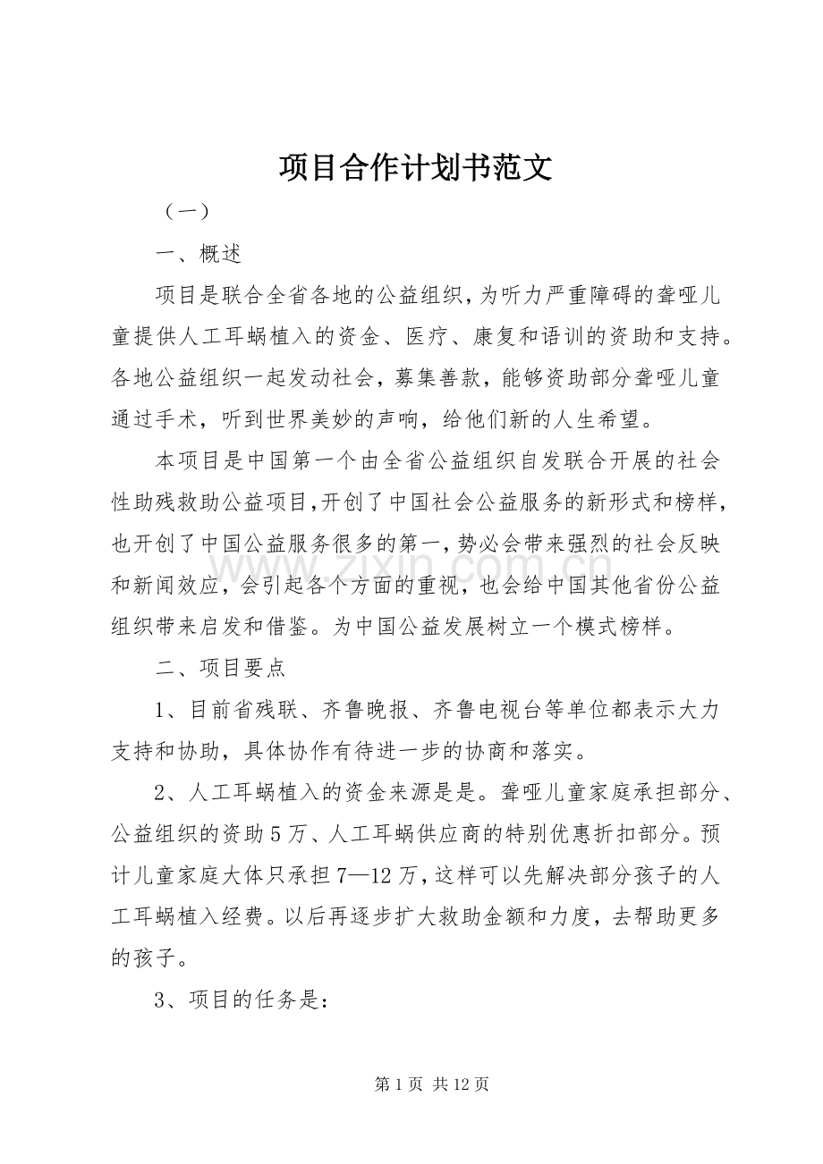 项目合作计划书范文.docx_第1页