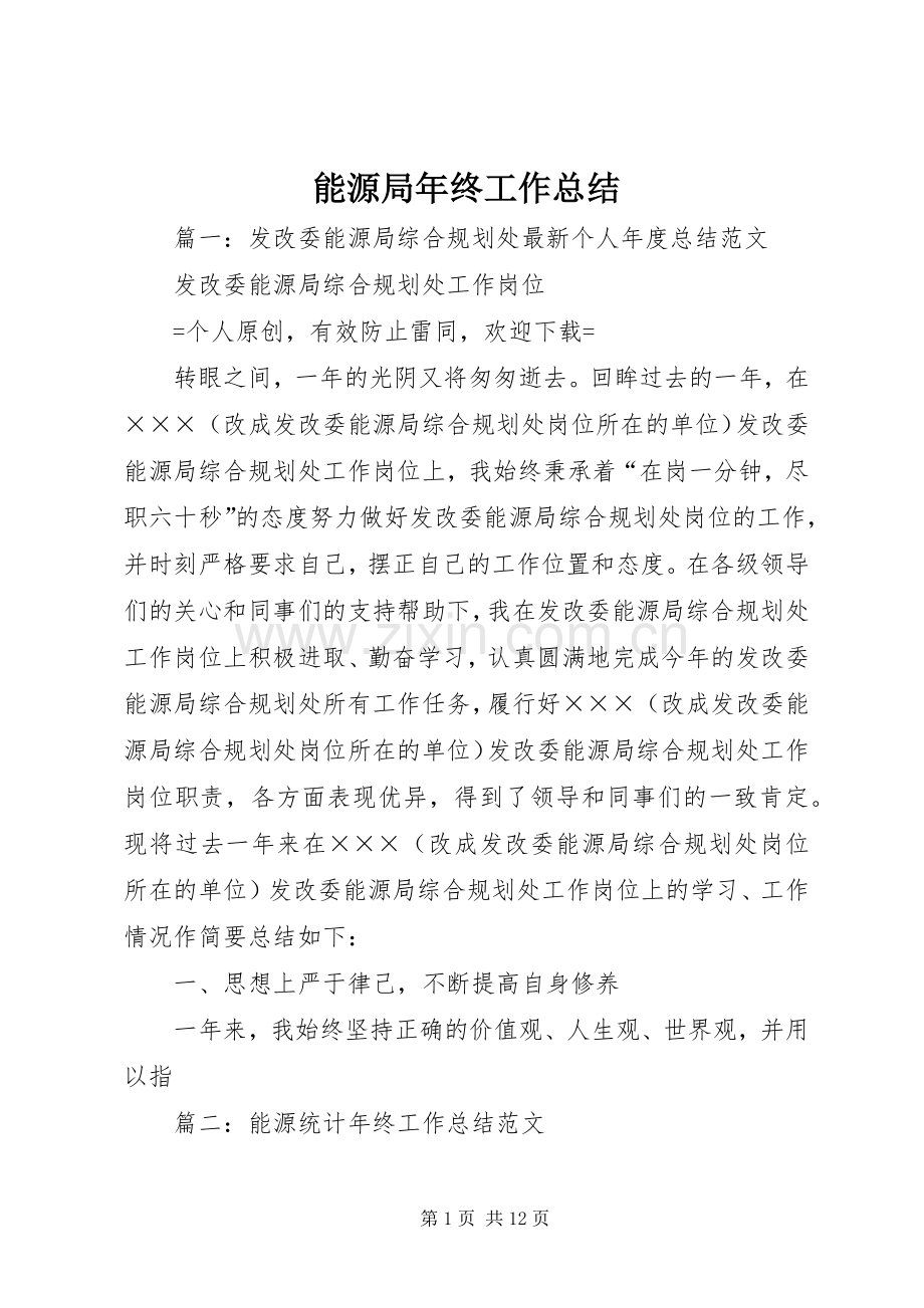 能源局年终工作总结 .docx_第1页