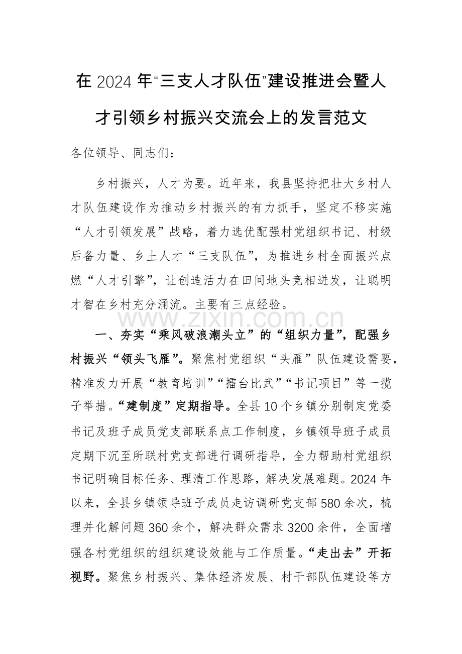 在2024年“三支人才队伍”建设推进会暨人才引领乡村振兴交流会上的发言范文.docx_第1页