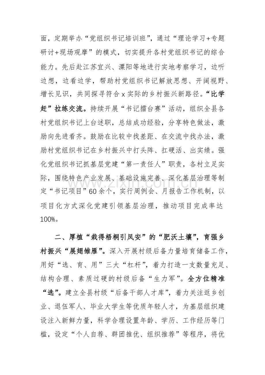 在2024年“三支人才队伍”建设推进会暨人才引领乡村振兴交流会上的发言范文.docx_第2页