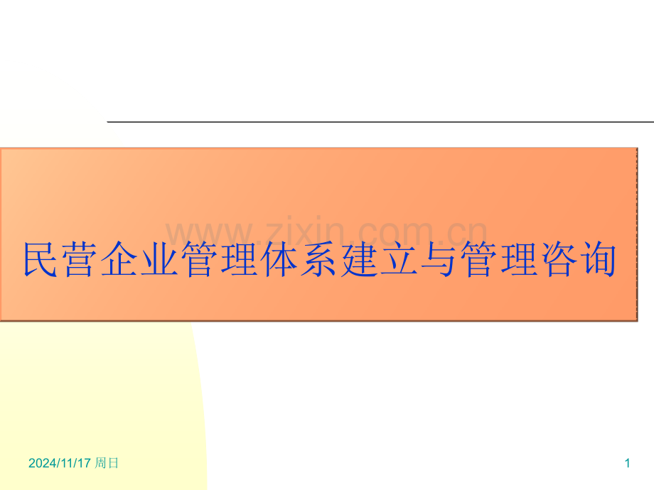 民营企业管理体系建立与管理咨询.pptx_第1页