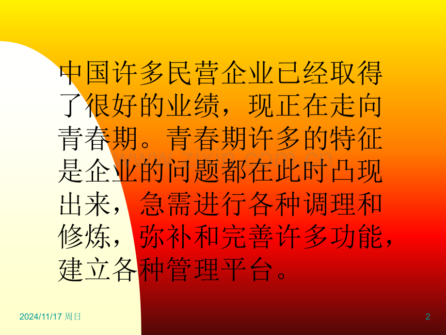 民营企业管理体系建立与管理咨询.pptx_第2页