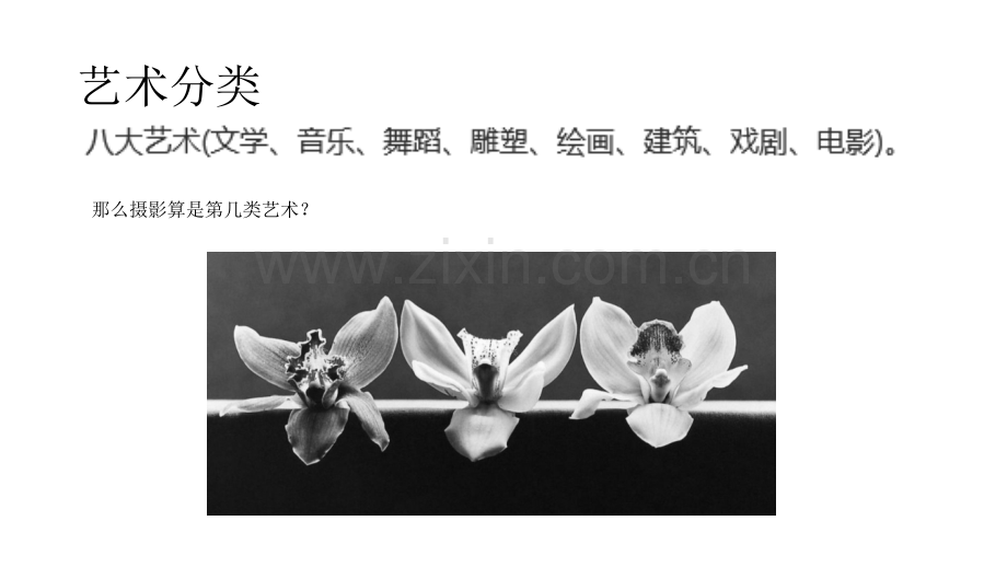 摄影艺术及其分类.pptx_第2页