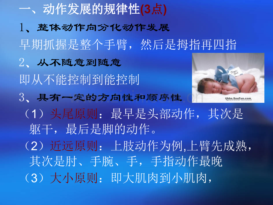 幼儿动作及运动能力的发展.pptx_第2页