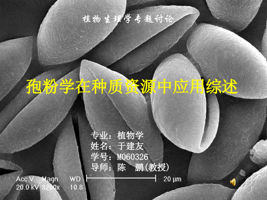 孢粉学在种质资源中应用综述精.pptx_第1页
