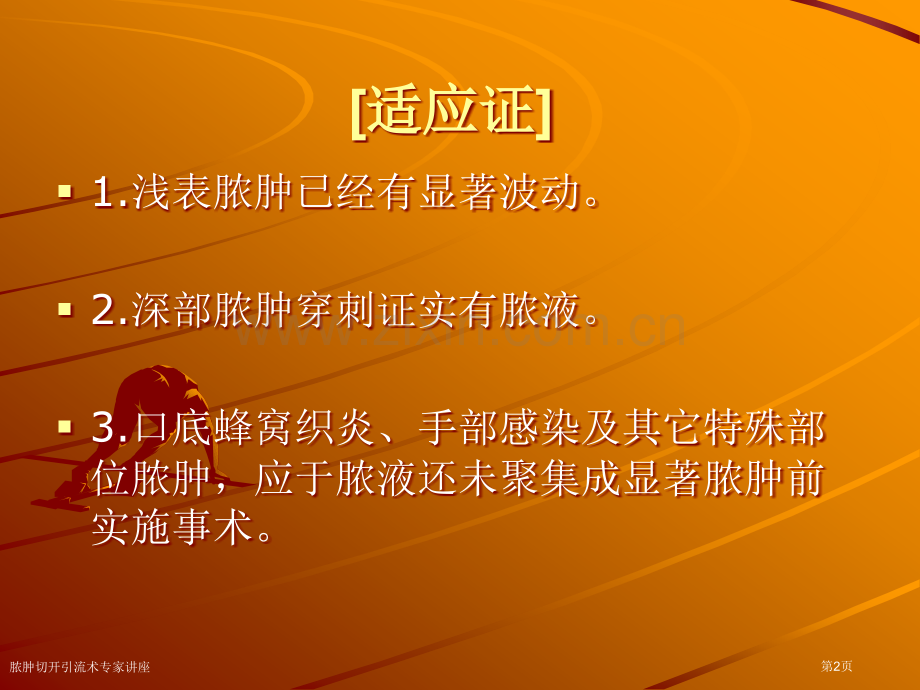 脓肿切开引流术专家讲座.pptx_第2页