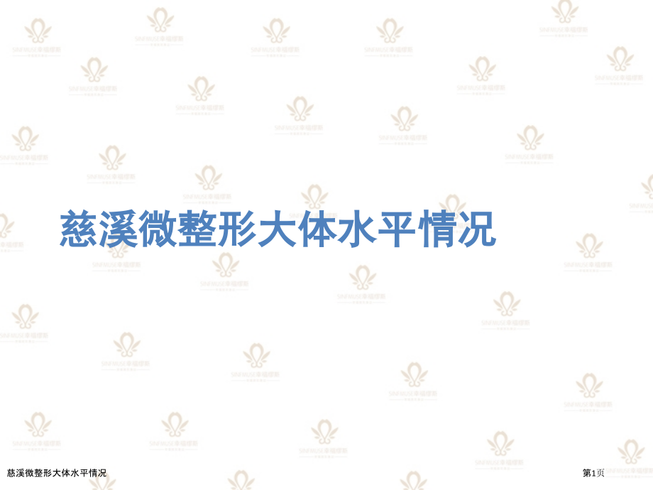 慈溪微整形大体水平情况.pptx_第1页