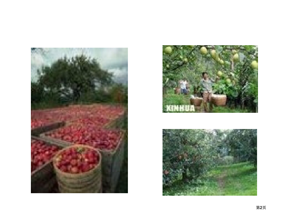 牛津苏教四下Unit4Buyingfruit课件之四市公开课金奖市赛课一等奖课件.pptx_第2页