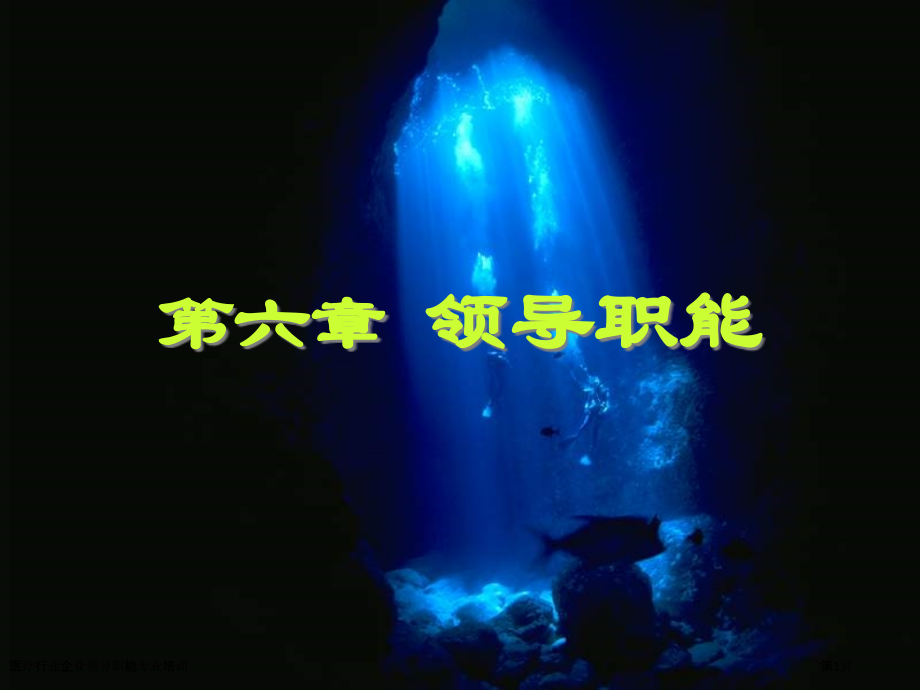 医疗行业企业领导职能专业培训.pptx_第1页