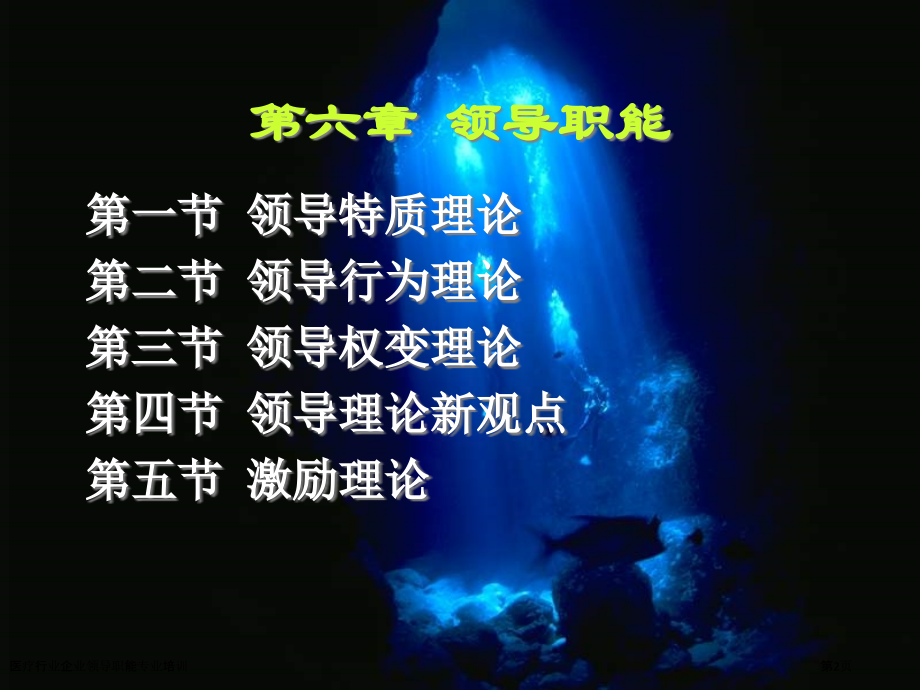 医疗行业企业领导职能专业培训.pptx_第2页