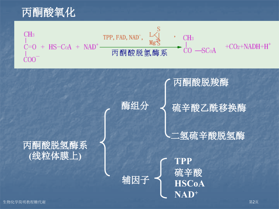 生物化学简明教程糖代谢.pptx_第2页