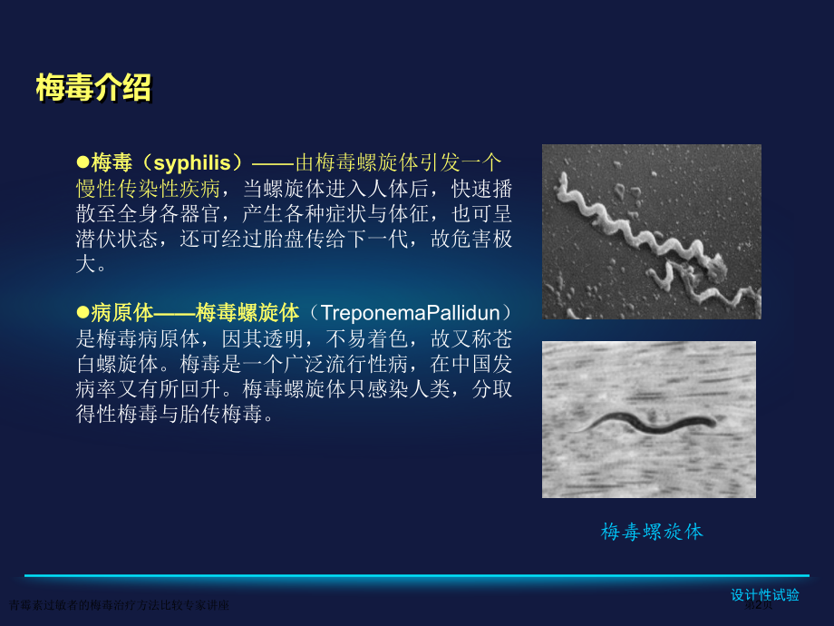 青霉素过敏者的梅毒治疗方法比较专家讲座.pptx_第2页