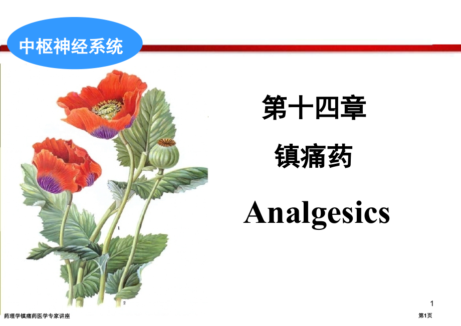 药理学镇痛药医学专家讲座.pptx_第1页