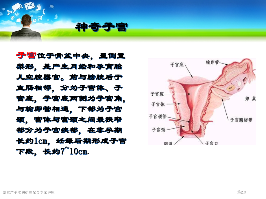 剖宫产手术的护理配合专家讲座.pptx_第2页