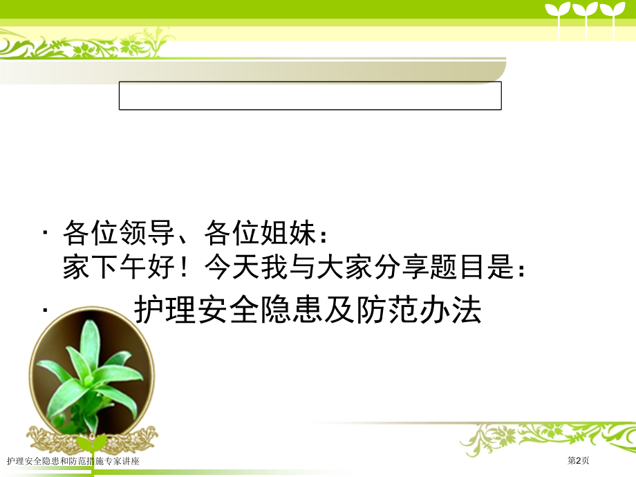 护理安全隐患和防范措施专家讲座.pptx_第2页