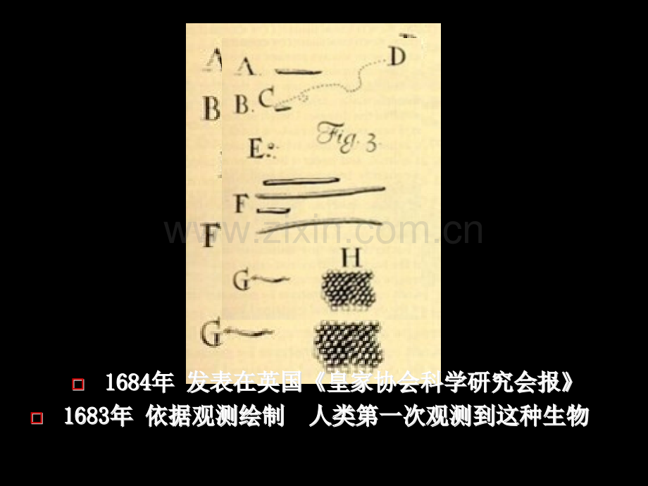 年发表在英国皇家协会科学研究会报年根据观市公开课金奖市赛课一等奖课件.pptx_第1页