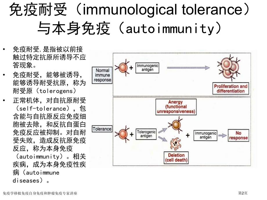 免疫学移植免疫自身免疫和肿瘤免疫专家讲座.pptx_第2页