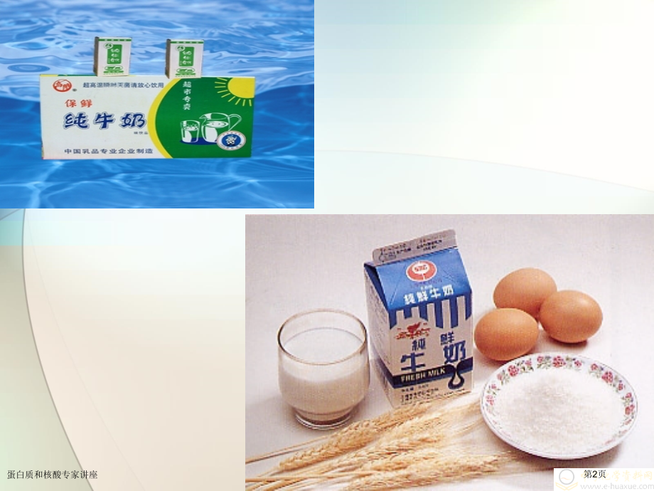 蛋白质和核酸专家讲座.pptx_第2页