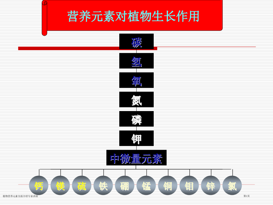 植物营养元素全面介绍专家讲座.pptx_第1页