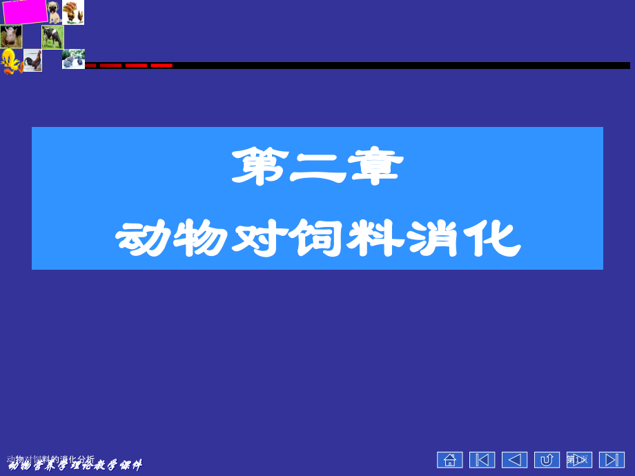 动物对饲料的消化分析.pptx_第1页