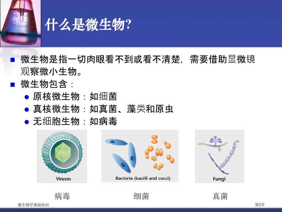 微生物学基础知识.pptx_第2页