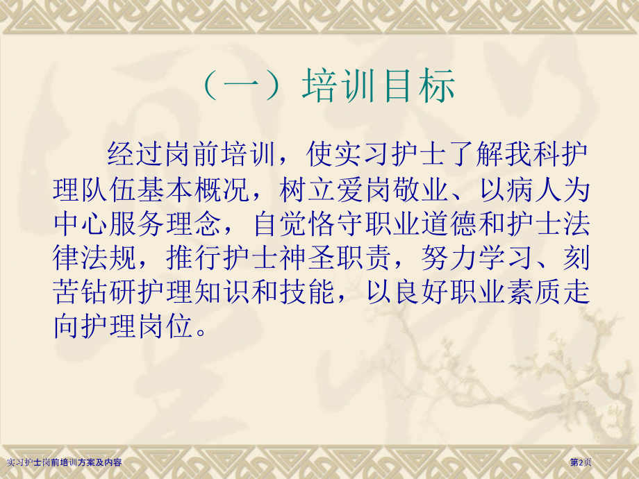 实习护士岗前培训方案及内容.pptx_第2页