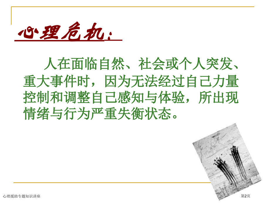 心理援助专题知识讲座.pptx_第2页
