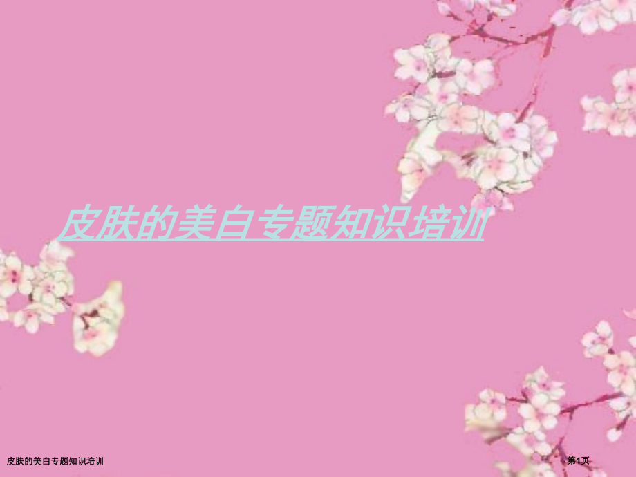 皮肤的美白专题知识培训.pptx_第1页