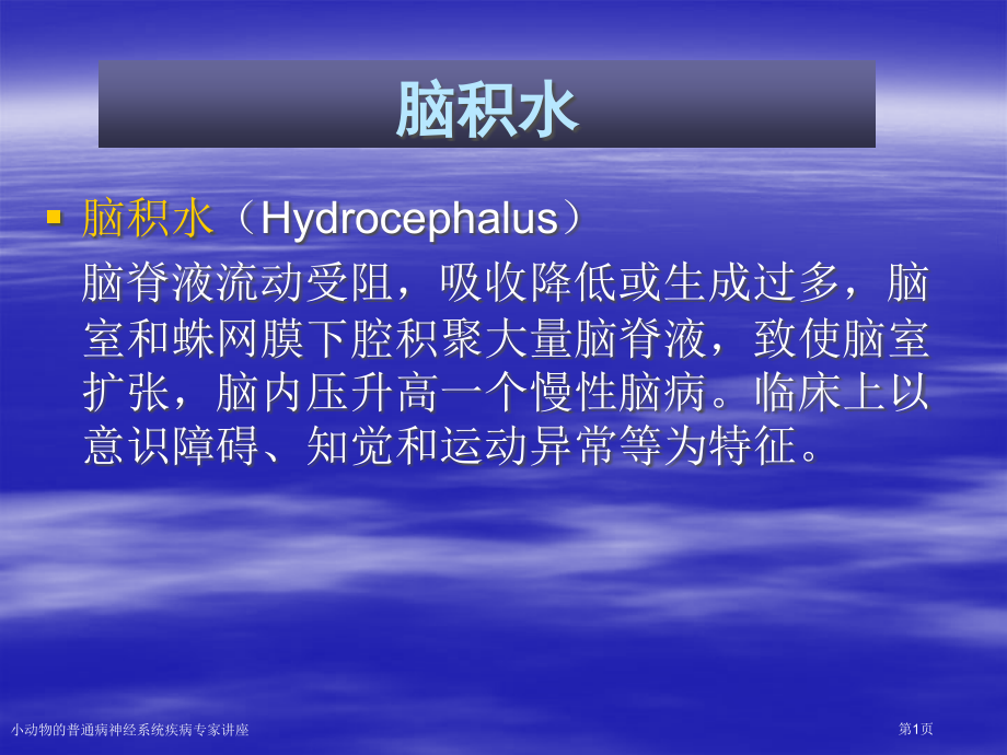小动物的普通病神经系统疾病专家讲座.pptx_第1页