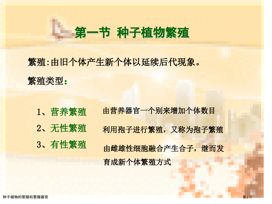 种子植物的繁殖和繁殖器官.pptx_第2页