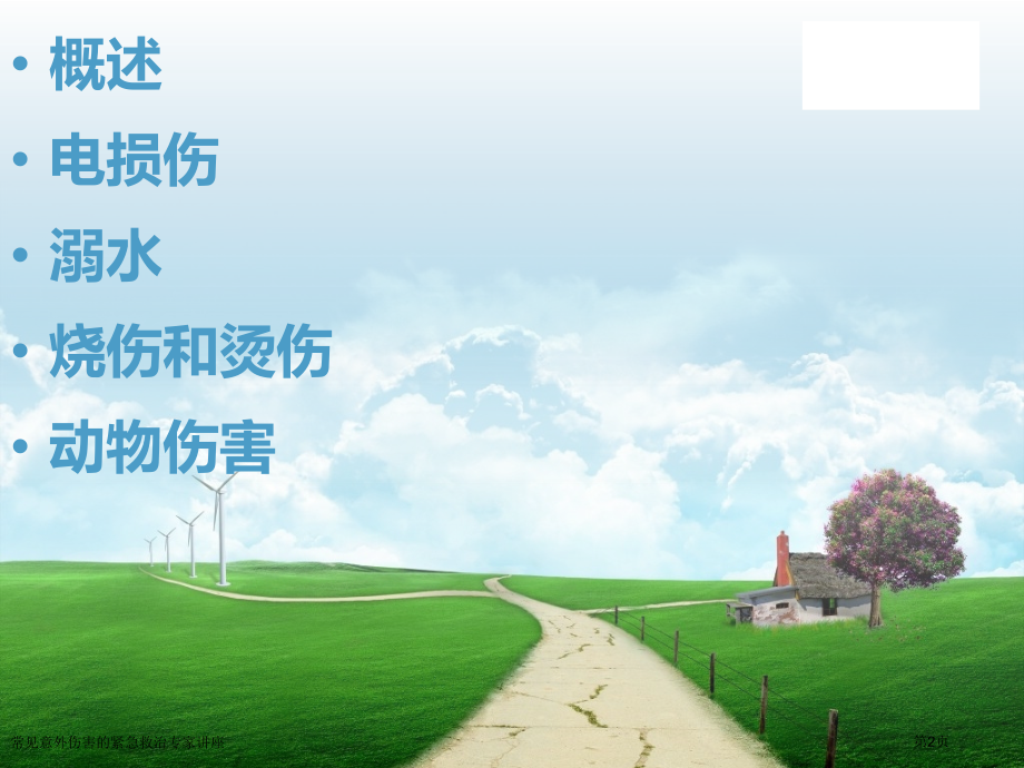 常见意外伤害的紧急救治专家讲座.pptx_第2页