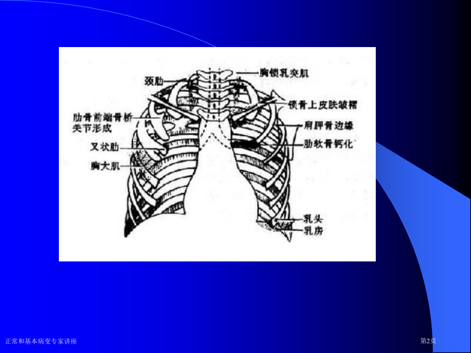 正常和基本病变专家讲座.pptx_第2页