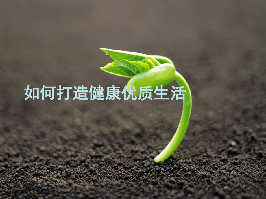 如何打造健康优质生活.pptx_第1页