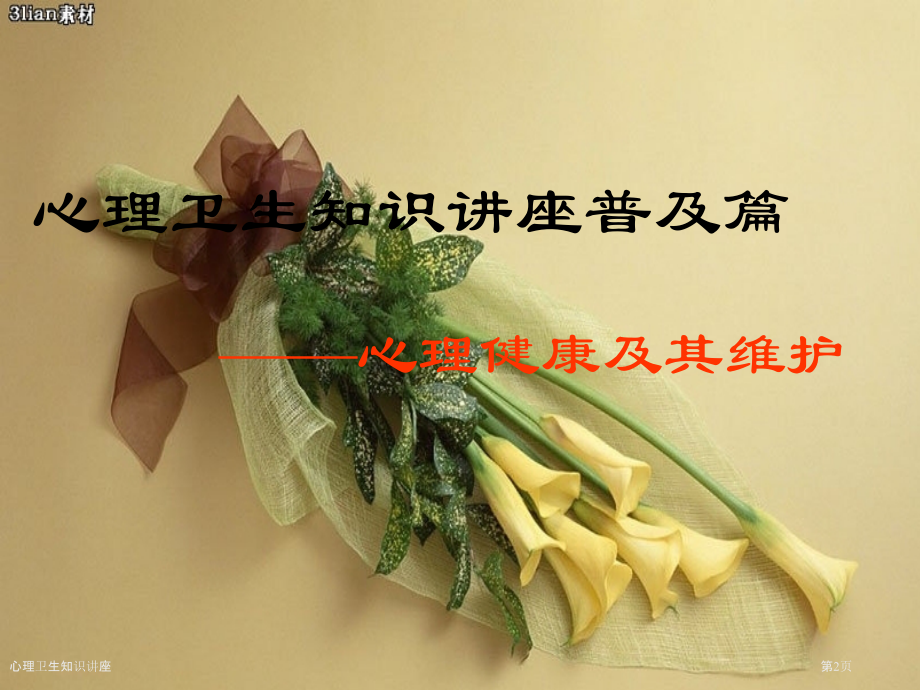 心理卫生知识讲座.pptx_第2页