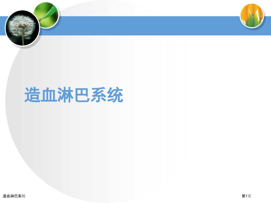 造血淋巴系统.pptx_第1页