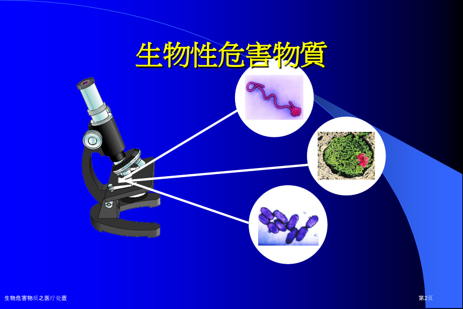 生物危害物质之医疗处置.pptx_第2页