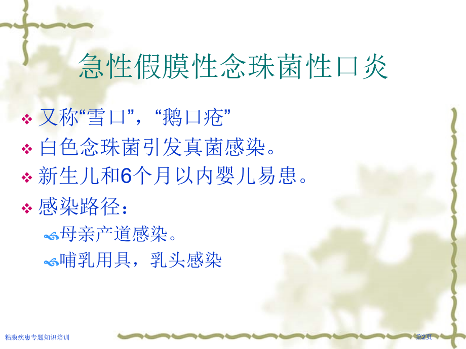 粘膜疾患专题知识培训.pptx_第2页