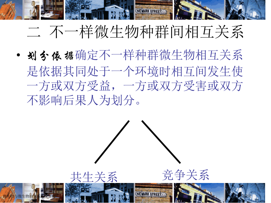 微生物与微生物的关系专家讲座.pptx_第2页
