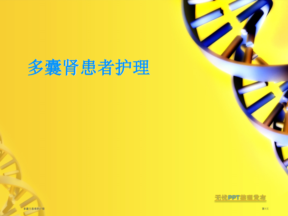 多囊肾患者的护理.pptx_第1页
