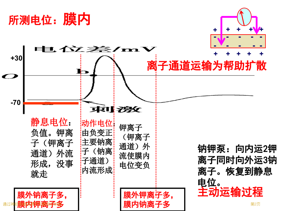 通过神经系统的调节专题知识讲座.pptx_第2页