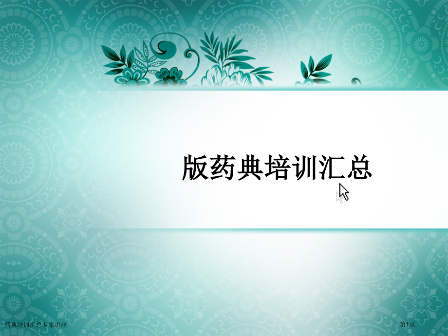 药典培训汇总专家讲座.pptx_第1页