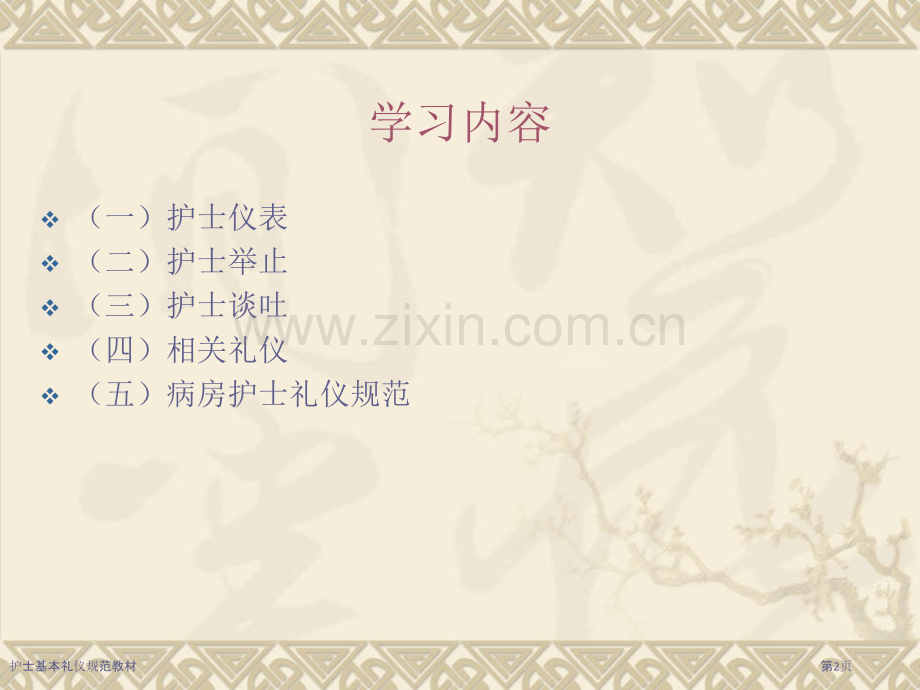 护士基本礼仪规范教材.pptx_第2页