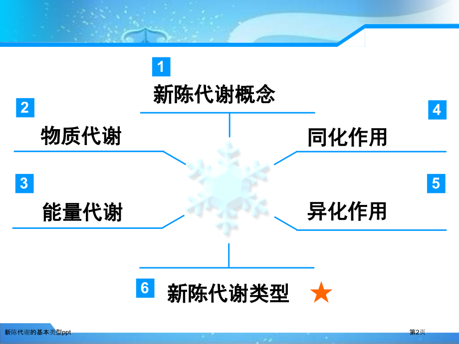 新陈代谢的基本类型ppt.pptx_第2页