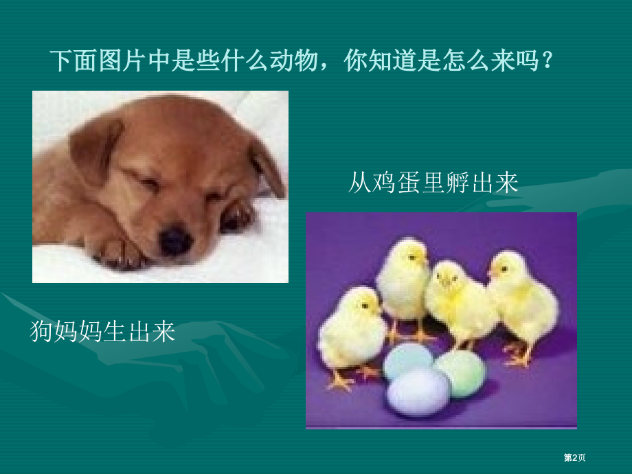 教科版科学三下植物新生命的开始市公开课金奖市赛课一等奖课件.pptx_第2页