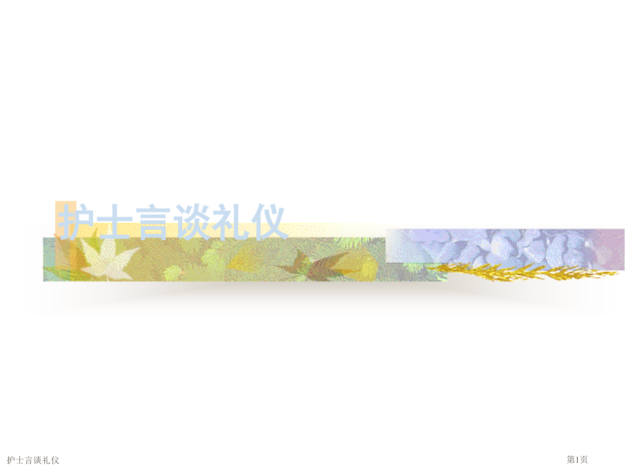 护士言谈礼仪.pptx_第1页