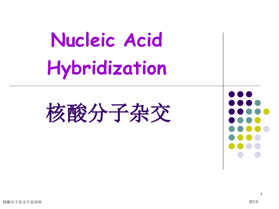 核酸分子杂交专家讲座.pptx_第1页