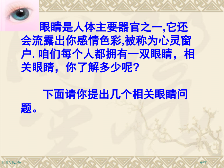 眼睛与视力矫.pptx_第2页