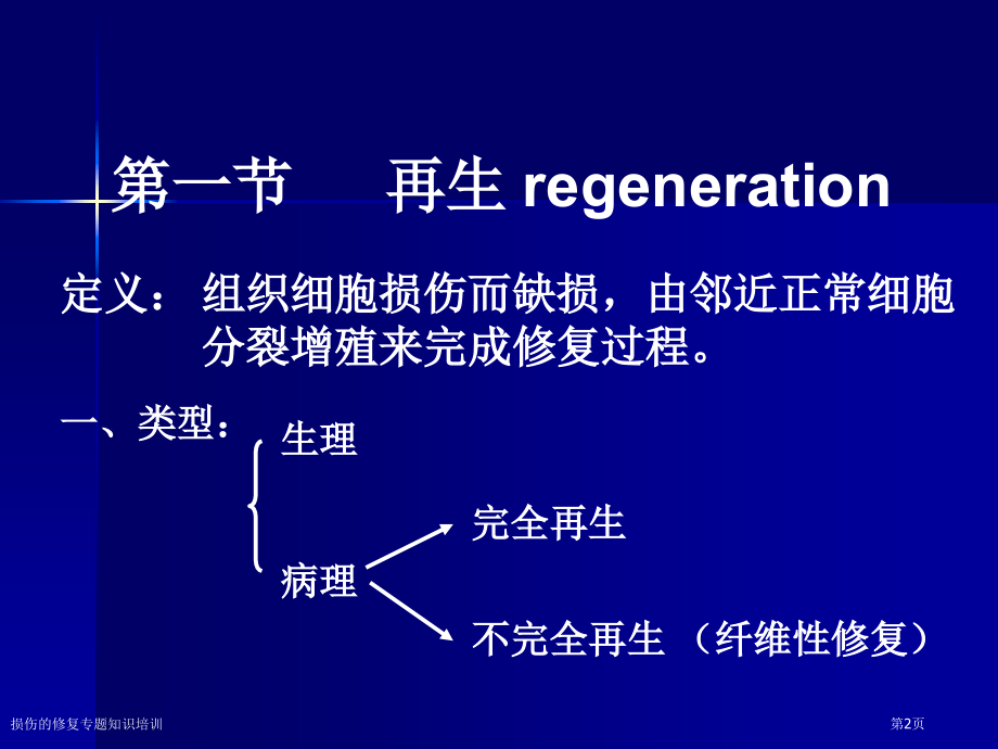 损伤的修复专题知识培训.pptx_第2页