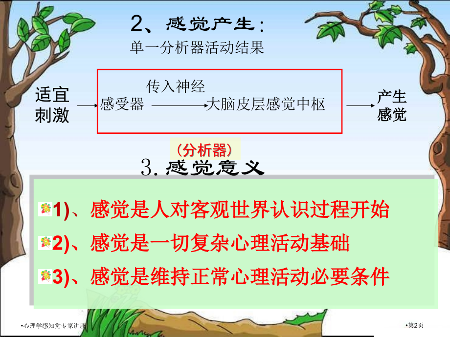 心理学感知觉专家讲座.pptx_第2页
